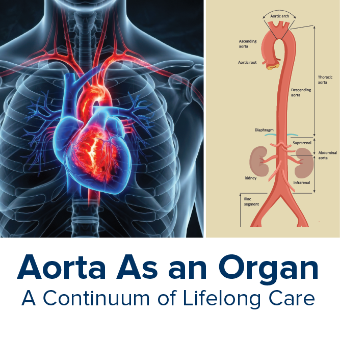 Aorta As An Organ:  A Continuum of Lifelong Care Banner